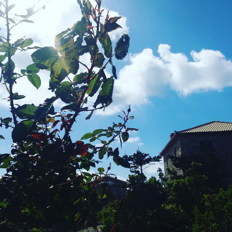 Andreas Katsaros Villas Βολίμες Εξωτερικό φωτογραφία