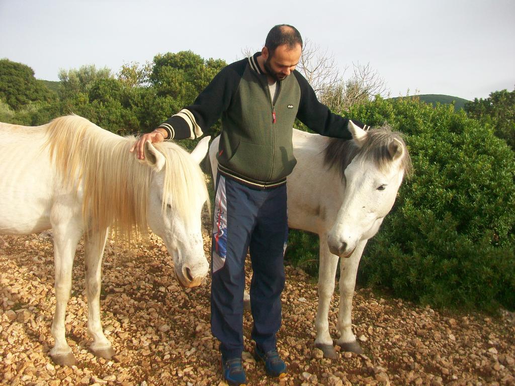 Andreas Katsaros Villas Βολίμες Εξωτερικό φωτογραφία
