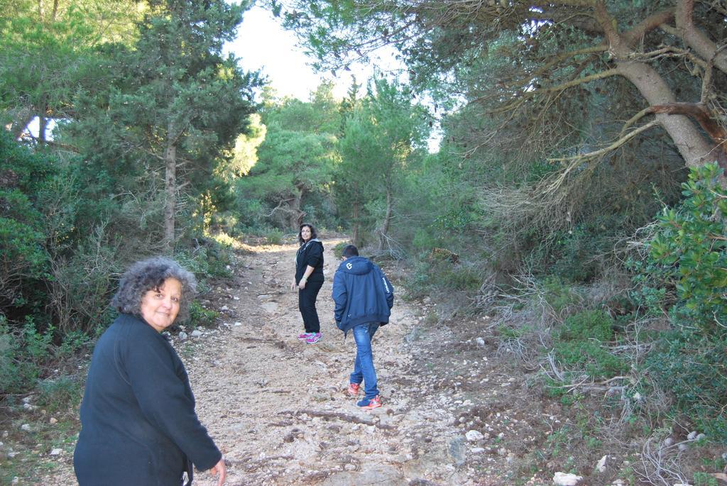Andreas Katsaros Villas Βολίμες Εξωτερικό φωτογραφία